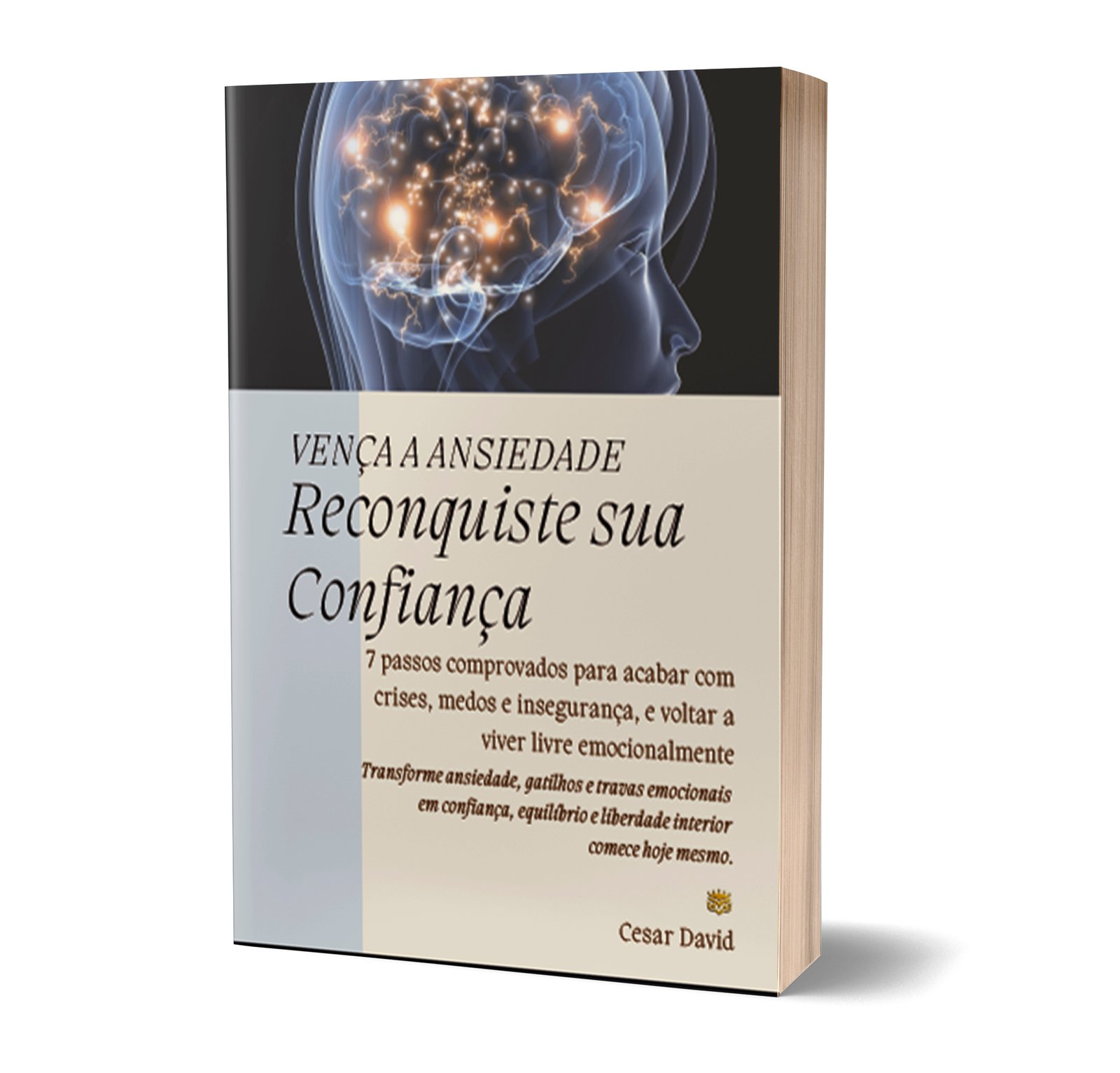 Vença a Ansiedade
